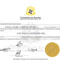Acercar imagen: certificate 1