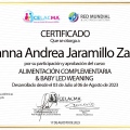 Acercar imagen: certificate 2