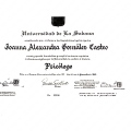 Acercar imagen: certificate 1