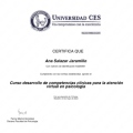 Acercar imagen: certificate 3