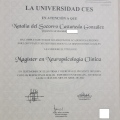 Acercar imagen: certificate 1