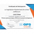 Acercar imagen: certificate 7