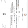 Acercar imagen: certificate 8
