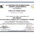 Acercar imagen: certificate 1