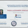 Acercar imagen: certificate 6