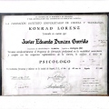 Acercar imagen: certificate 1