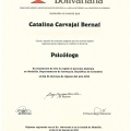 Acercar imagen: certificate 1