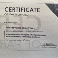Acercar imagen: certificate 2