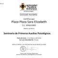 Acercar imagen: certificate 2