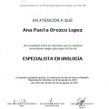 Acercar imagen: certificate 2