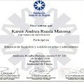 Acercar imagen: certificate 13