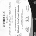 Acercar imagen: certificate 6