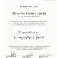 Acercar imagen: certificate 1
