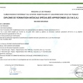Acercar imagen: certificate 1