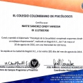 Acercar imagen: certificate 6