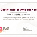 Acercar imagen: certificate 8
