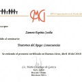 Acercar imagen: certificate 1