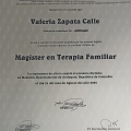 Acercar imagen: certificate 1