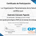 Acercar imagen: certificate 3