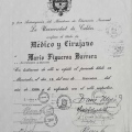 Acercar imagen: certificate 5