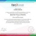 Acercar imagen: certificate 5