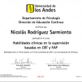 Acercar imagen: certificate 5