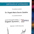 Acercar imagen: certificate 2