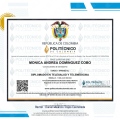 Acercar imagen: certificate 10