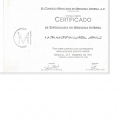 Acercar imagen: certificate 7