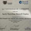 Acercar imagen: certificate 8