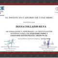 Acercar imagen: certificate 3