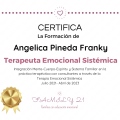 Acercar imagen: certificate 1