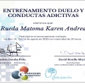 Acercar imagen: certificate 17