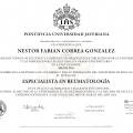 Acercar imagen: certificate 3