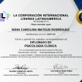 Acercar imagen: certificate 38