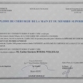 Acercar imagen: certificate 5