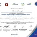 Acercar imagen: certificate 3