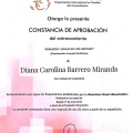 Acercar imagen: certificate 6
