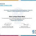 Acercar imagen: certificate 4
