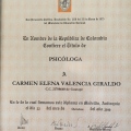 Acercar imagen: certificate 1