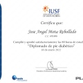 Acercar imagen: certificate 60