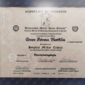 Acercar imagen: certificate 2
