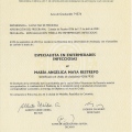 Acercar imagen: certificate 2