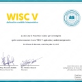 Acercar imagen: certificate 5
