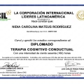 Acercar imagen: certificate 45
