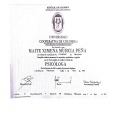 Acercar imagen: certificate 3