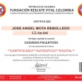 Acercar imagen: certificate 54