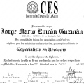Acercar imagen: certificate 2