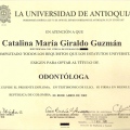 Acercar imagen: certificate 2