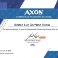 Acercar imagen: certificate 2
